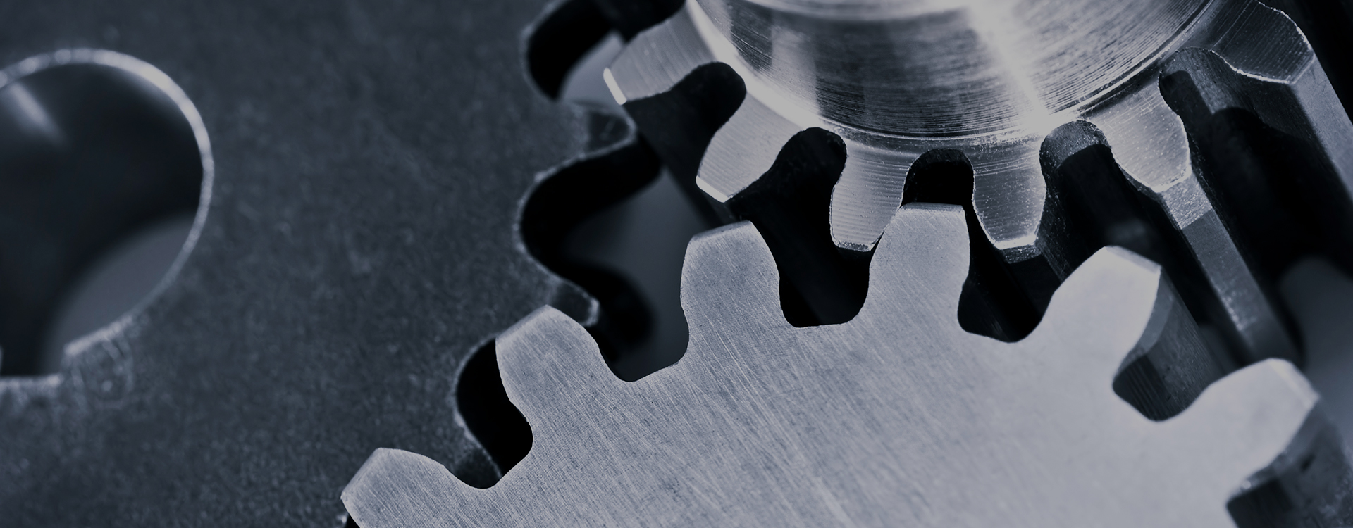 与时俱进 稳步前进